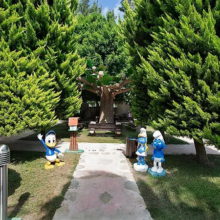 Resort Alba - Ultra Side